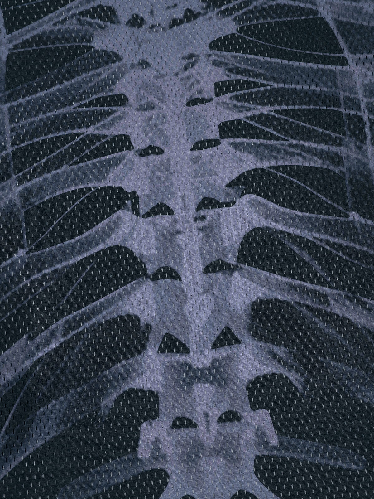 Aelfric Eden Skeleton Mesh Tee - Image 5
