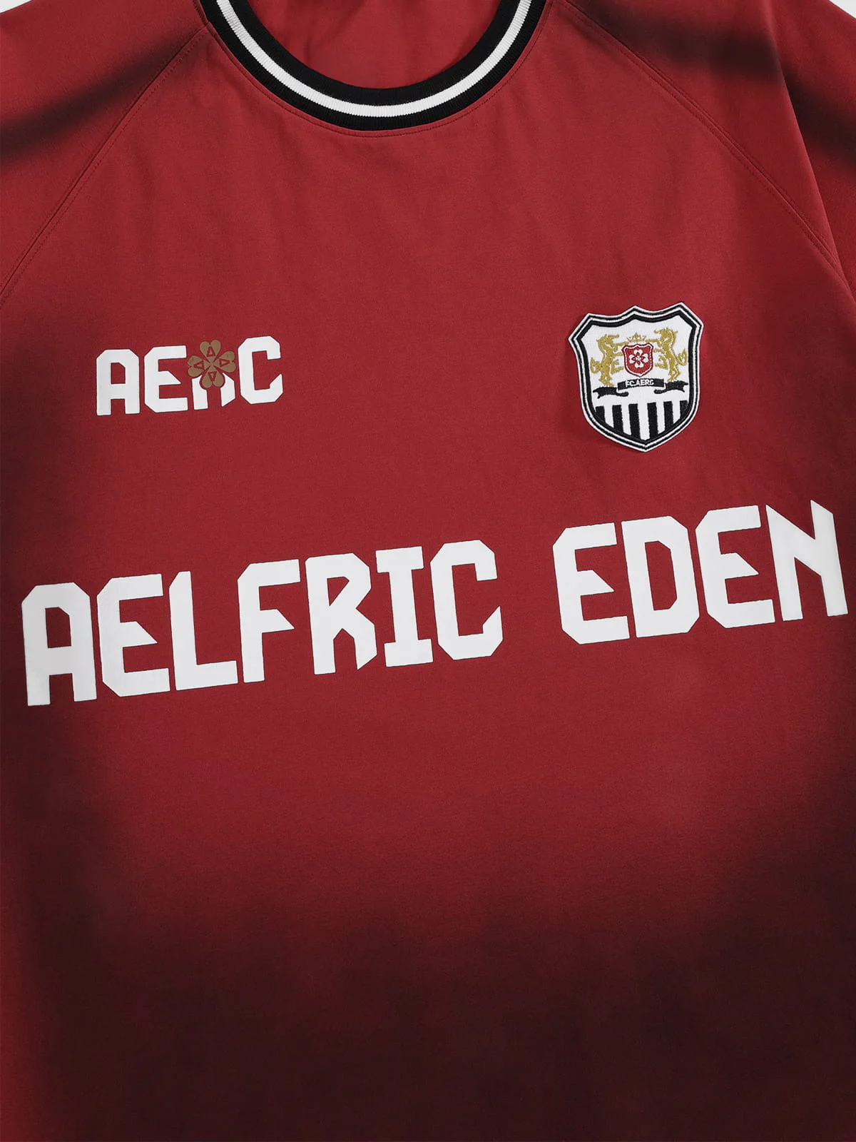 Aelfric Eden Washed Crest Tee - Image 4